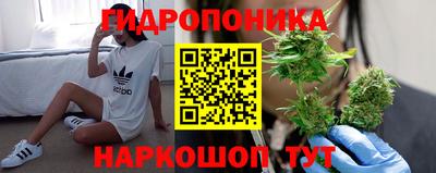 spice Будённовск